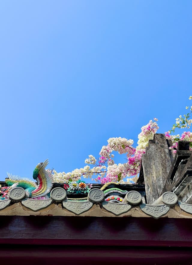 园博园的三角梅