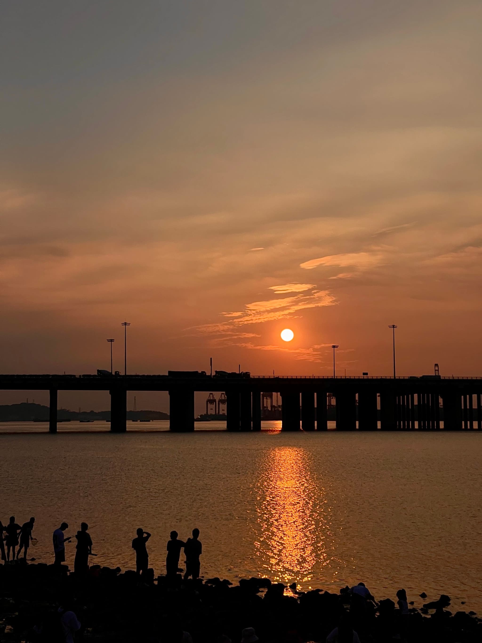 海边公园的日落🌄