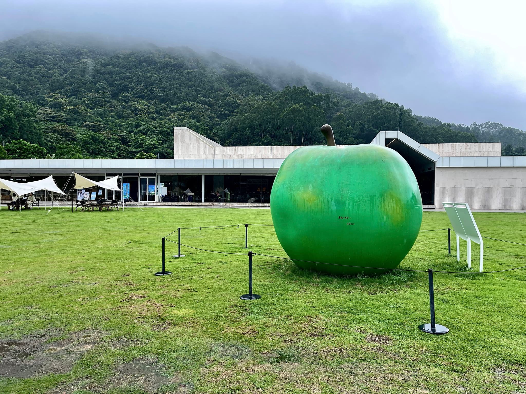 安藤忠雄的青苹果🍏