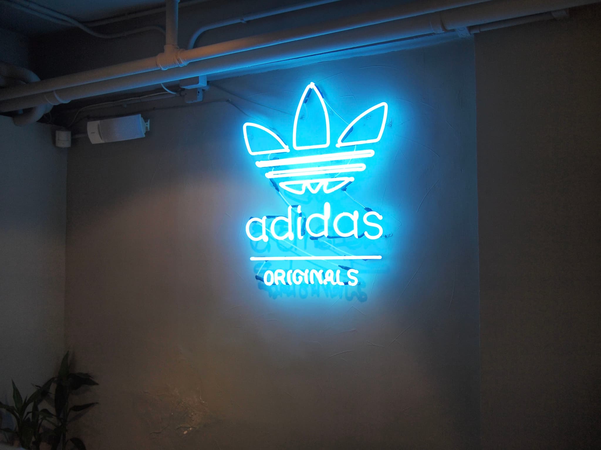 阿迪达斯店