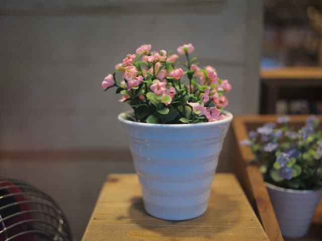 南锣鼓巷某店