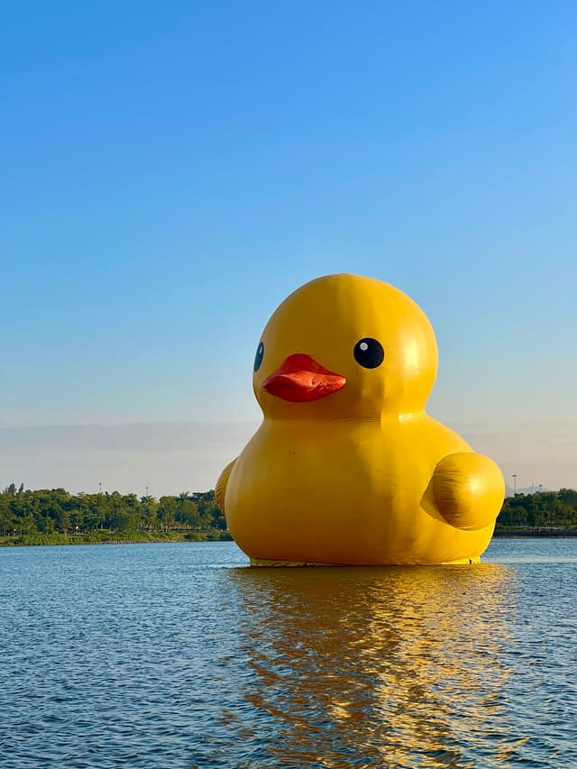 小黄鸭展