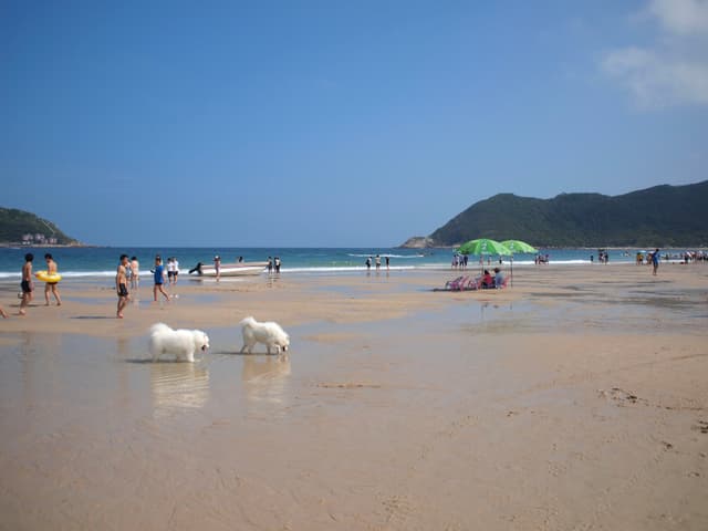 海边